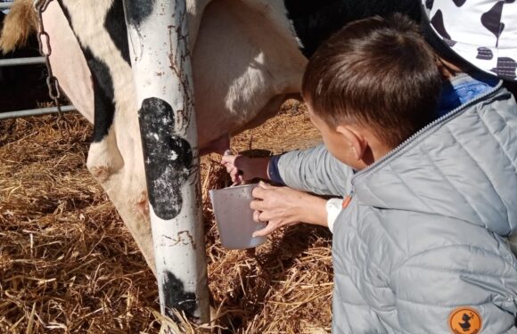 Educazione outdoor: le nostre uscite didattiche