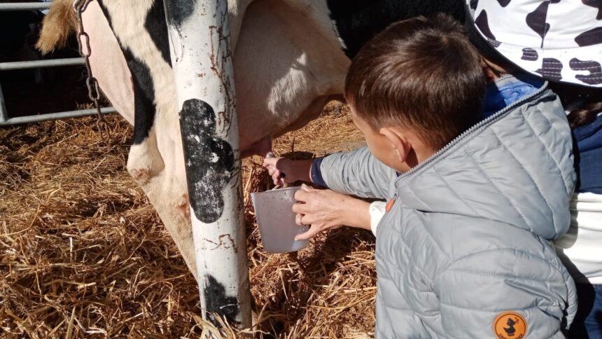 Educazione outdoor: le nostre uscite didattiche